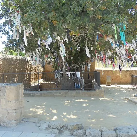 Lägenhet Niki Court Paphos