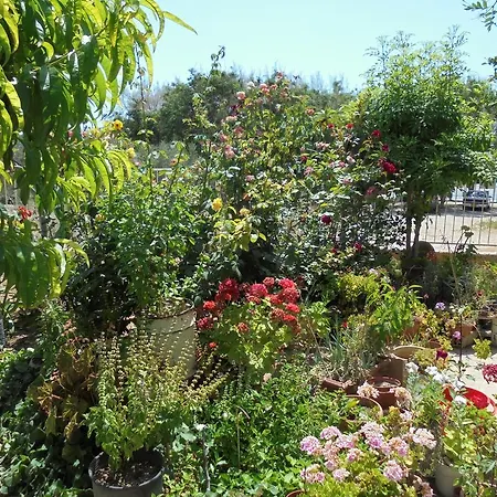 Apartamento Niki Court Paphos