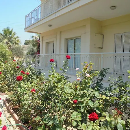 Niki Court