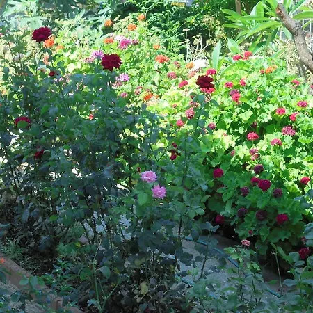 Apartment Niki Court Paphos