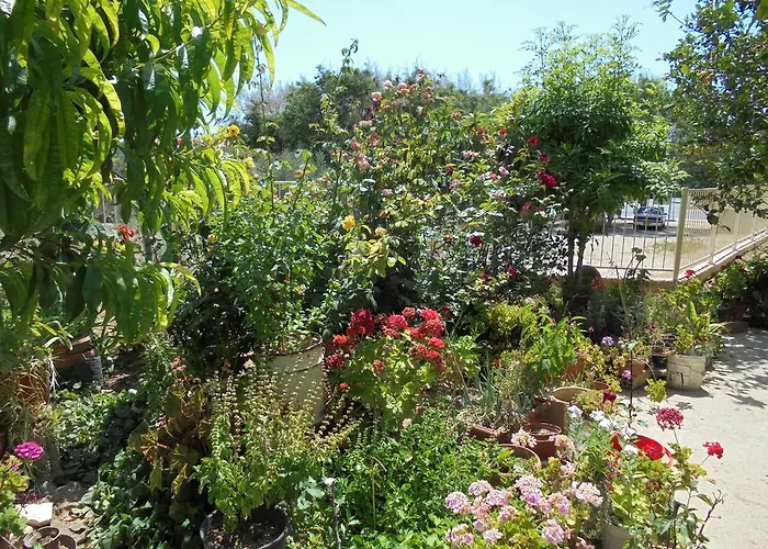 アパート Niki Court パ フォス