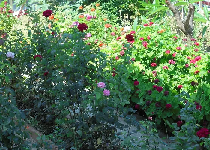 아파트 Niki Court 파포스