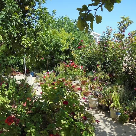 Daire Niki Court Pafos